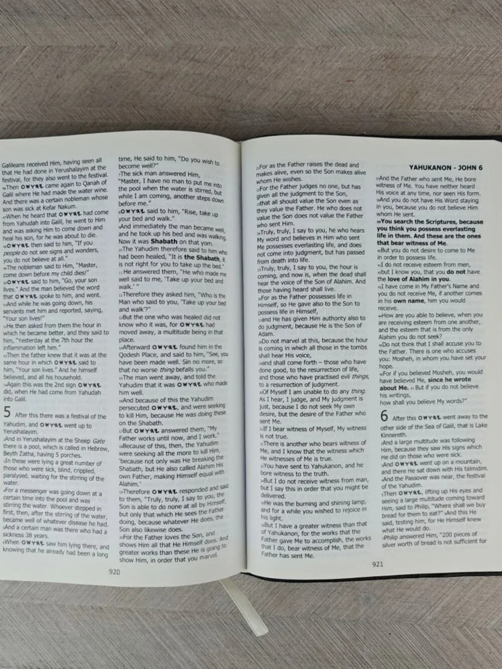 BYNV Besorah of Yahusha Natsarim Version Translation Lew White 2014 Hardcover